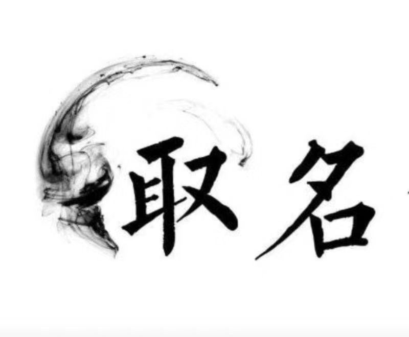  应县宝宝取名 大师一对一人工起名